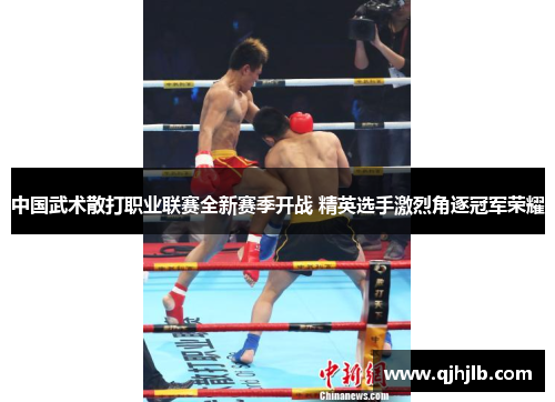 中国武术散打职业联赛全新赛季开战 精英选手激烈角逐冠军荣耀