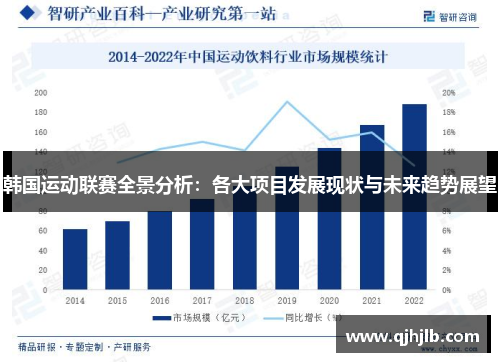 韩国运动联赛全景分析：各大项目发展现状与未来趋势展望